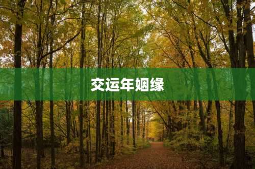 交运年姻缘