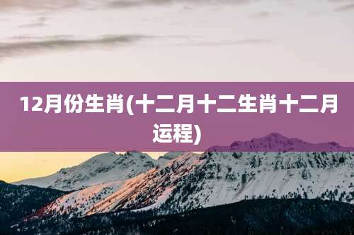 12月份生肖(十二月十二生肖十二月运程)