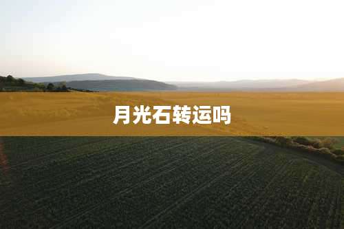 月光石转运吗