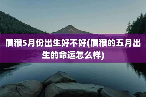 属猴5月份出生好不好(属猴的五月出生的命运怎么样)