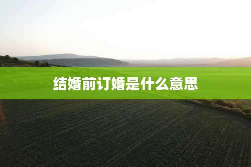 结婚前订婚是什么意思