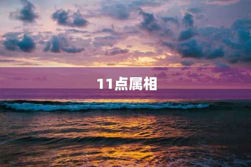 11点属相