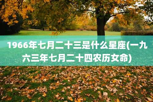 1966年七月二十三是什么星座(一九六三年七月二十四农历女命)