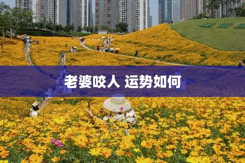 老婆咬人 运势如何