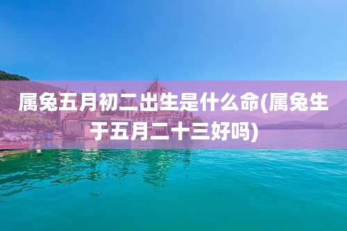 属兔五月初二出生是什么命(属兔生于五月二十三好吗)