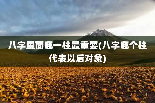 八字里面哪一柱最重要(八字哪个柱代表以后对象)