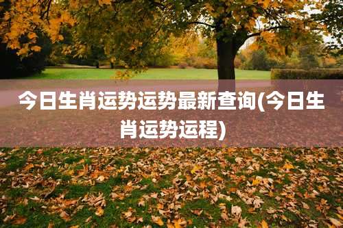 今日生肖运势运势最新查询(今日生肖运势运程)