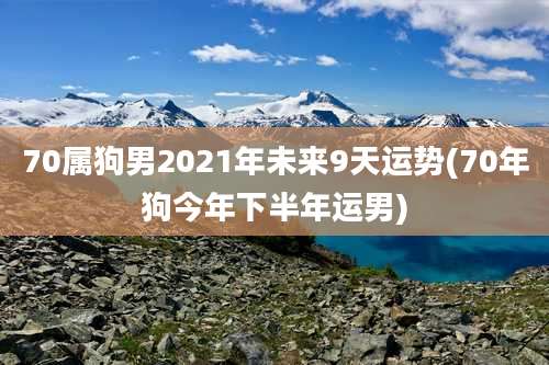 70属狗男2021年未来9天运势(70年狗今年下半年运男)