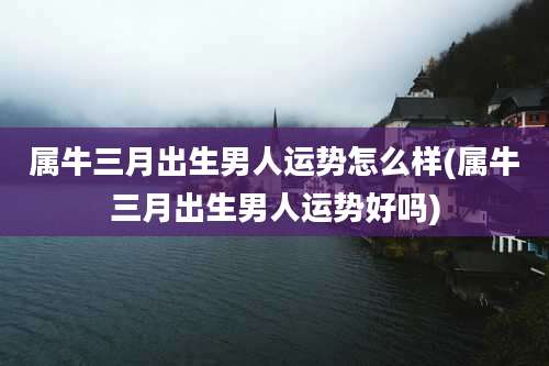 属牛三月出生男人运势怎么样(属牛三月出生男人运势好吗)