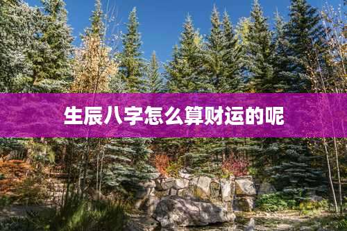 生辰八字怎么算财运的呢