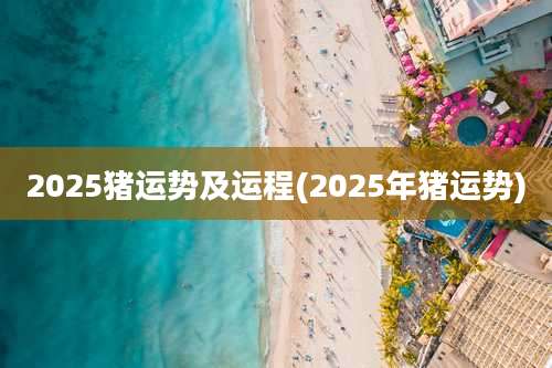 2025猪运势及运程(2025年猪运势)