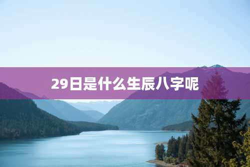 29日是什么生辰八字呢