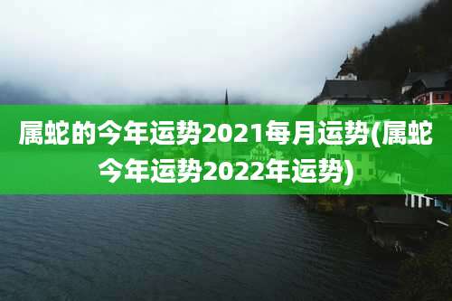 属蛇的今年运势2021每月运势(属蛇今年运势2022年运势)