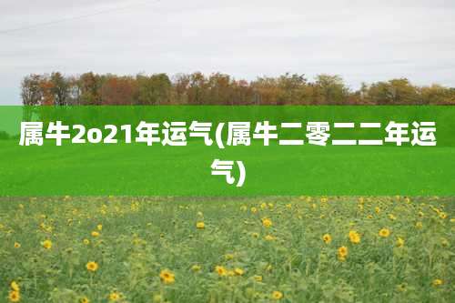 属牛2o21年运气(属牛二零二二年运气)