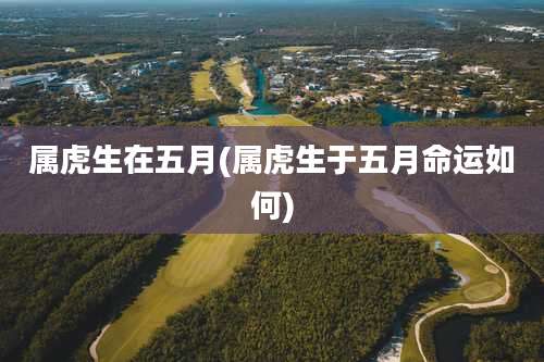 属虎生在五月(属虎生于五月命运如何)