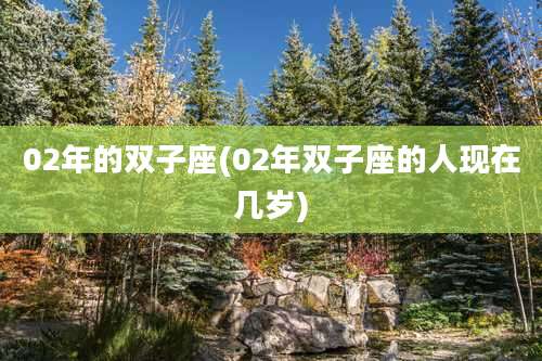 02年的双子座(02年双子座的人现在几岁)