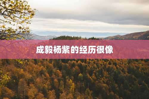 成毅杨紫的经历很像