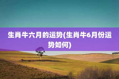 生肖牛六月的运势(生肖牛6月份运势如何)