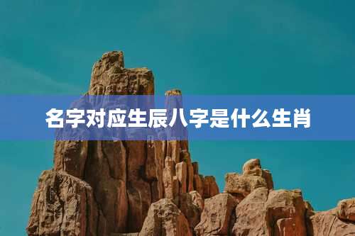 名字对应生辰八字是什么生肖