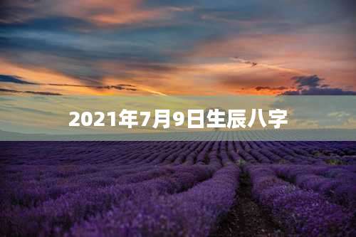 2021年7月9日生辰八字