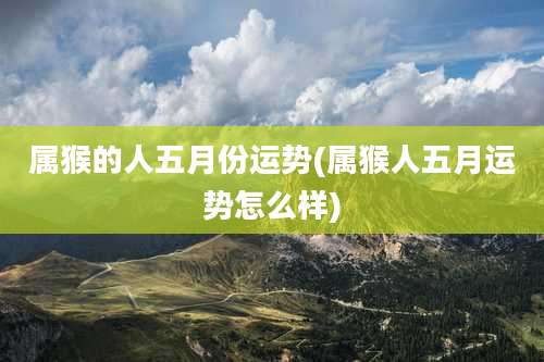 属猴的人五月份运势(属猴人五月运势怎么样)