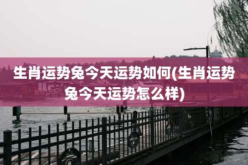 生肖运势兔今天运势如何(生肖运势兔今天运势怎么样)