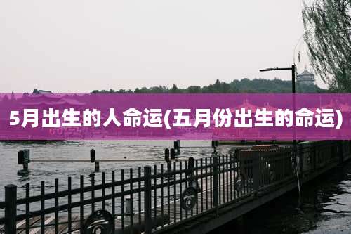 5月出生的人命运(五月份出生的命运)