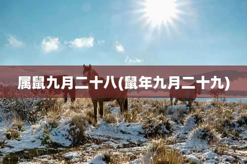 属鼠九月二十八(鼠年九月二十九)