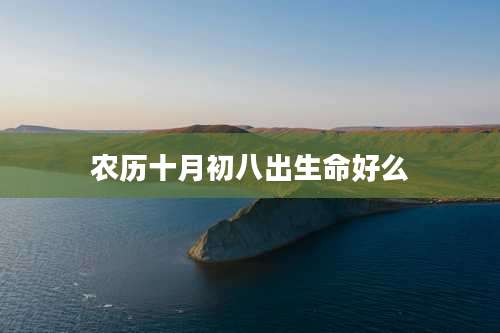 农历十月初八出生命好么