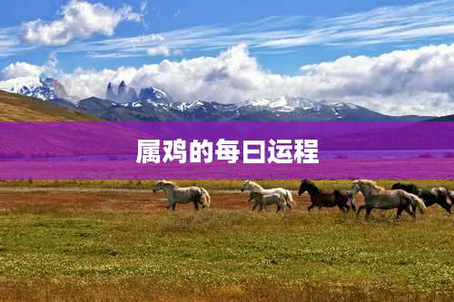 属鸡的每曰运程