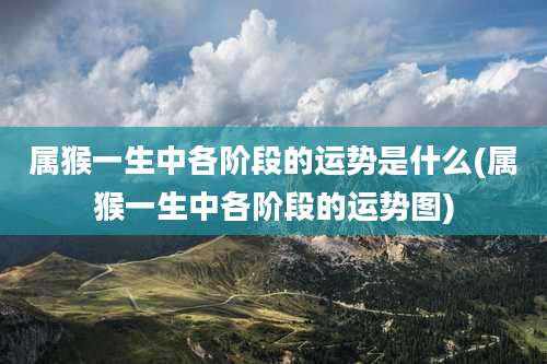 属猴一生中各阶段的运势是什么(属猴一生中各阶段的运势图)