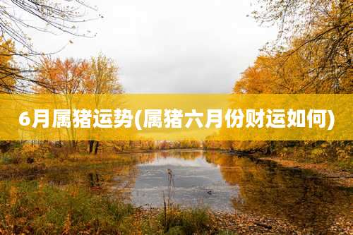 6月属猪运势(属猪六月份财运如何)