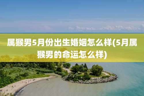 属猴男5月份出生婚姻怎么样(5月属猴男的命运怎么样)