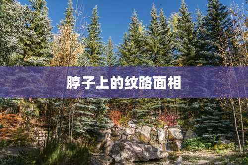 脖子上的纹路面相