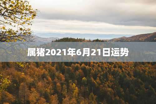 属猪2021年6月21日运势
