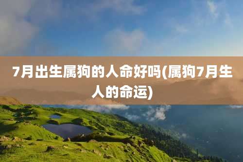 7月出生属狗的人命好吗(属狗7月生人的命运)