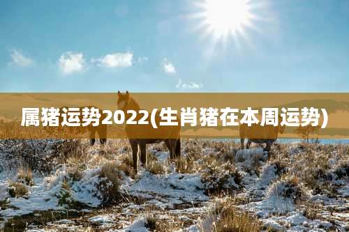 属猪运势2022(生肖猪在本周运势)