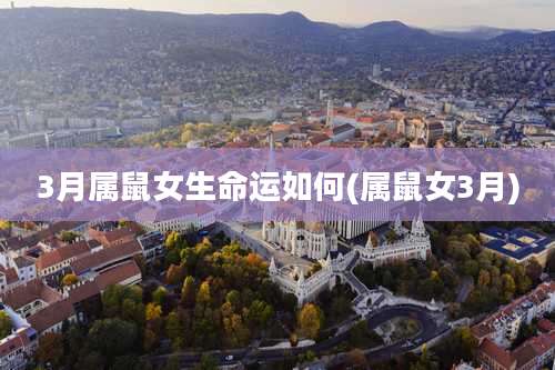 3月属鼠女生命运如何(属鼠女3月)