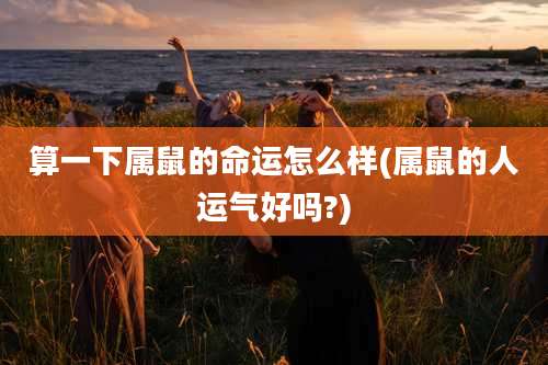 算一下属鼠的命运怎么样(属鼠的人运气好吗?)