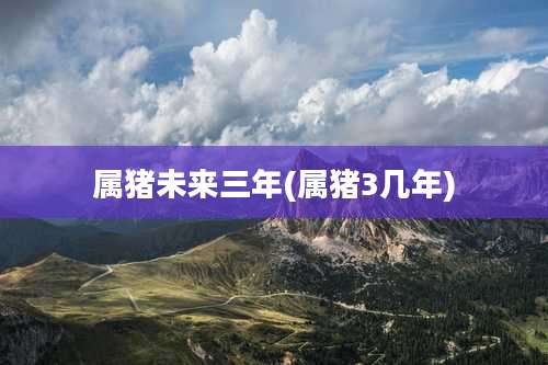 属猪未来三年(属猪3几年)