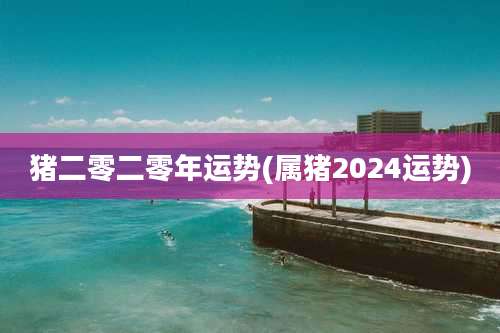 猪二零二零年运势(属猪2024运势)