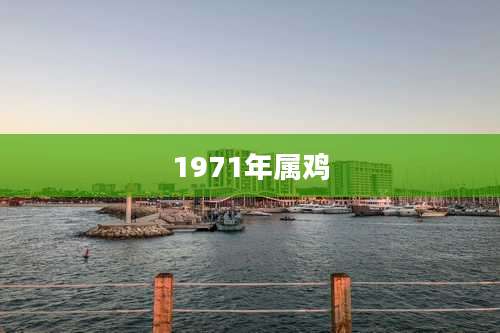 1971年属鸡