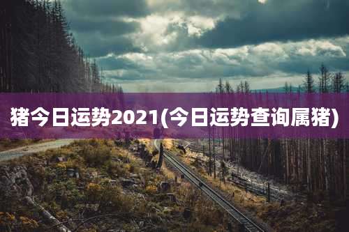 猪今日运势2021(今日运势查询属猪)