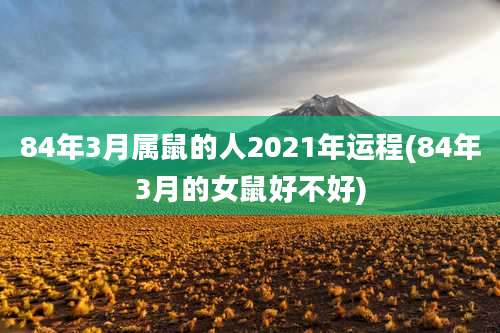 84年3月属鼠的人2021年运程(84年3月的女鼠好不好)