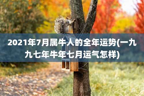 2021年7月属牛人的全年运势(一九九七年牛年七月运气怎样)