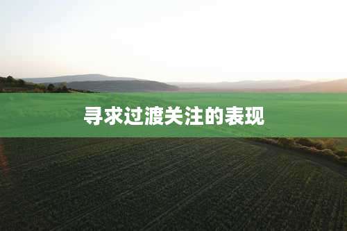 寻求过渡关注的表现