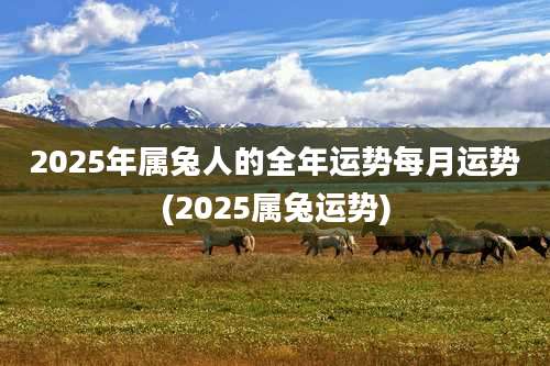 2025年属兔人的全年运势每月运势(2025属兔运势)