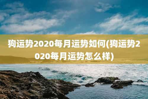 狗运势2020每月运势如何(狗运势2020每月运势怎么样)