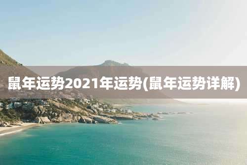 鼠年运势2021年运势(鼠年运势详解)
