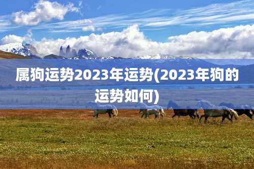 属狗运势2023年运势(2023年狗的运势如何)
